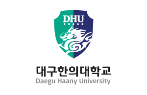 Daegu Haany University